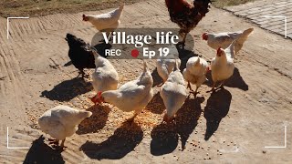 Kuhle Jita S02E09 | Slow living in the village ❤️