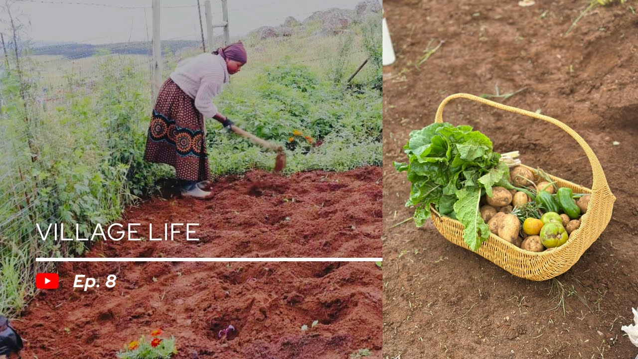 Kuhle Jita S01E08 | Slow living in the village