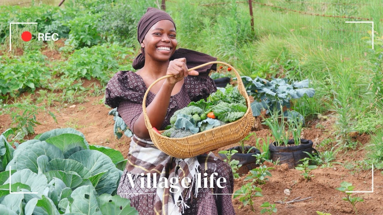 Kuhle Jita S02